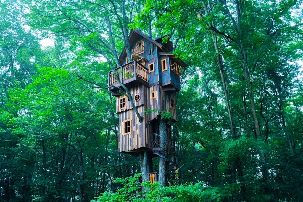 北軽井沢スウィートグラスのツリーハウス