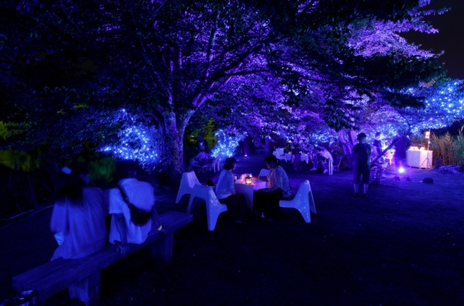 軽井沢タリアセンのイルミネーション